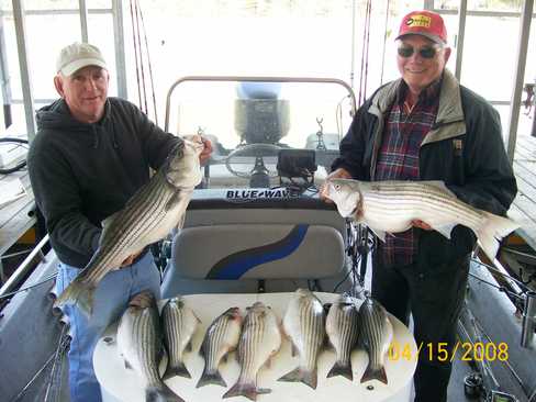 Nice Striped Bass
