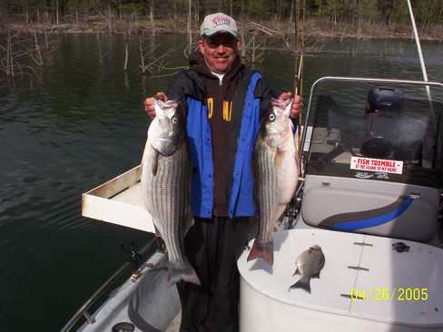 Nice Striped Bass