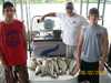 (06/02/2008) - Nice Striped Bass