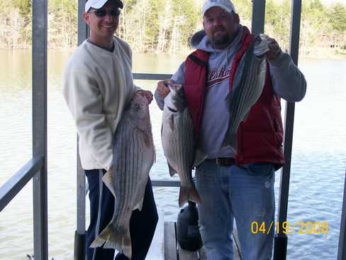 Nice Striped Bass