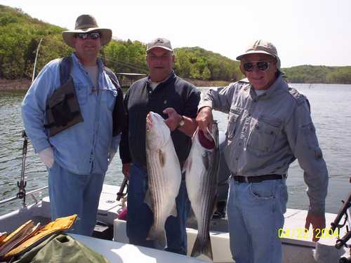 Nice Striped Bass