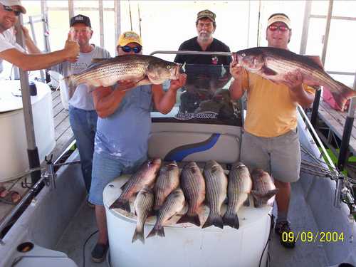 Excellent Striper Fishing