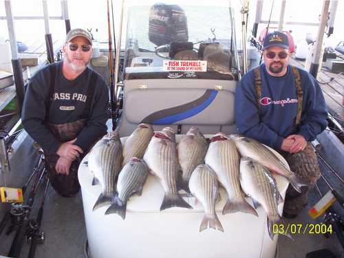 Nice Striped Bass