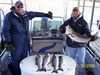 (11/20/2006) - Nice Striped Bass