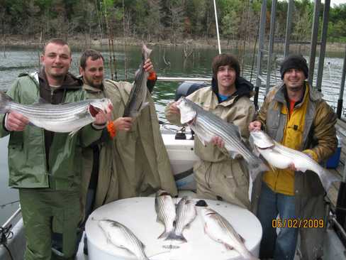 Nice Striped Bass