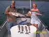 (08/03/2005) - Nice Striped Bass