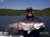 (05/03/2004) - Nice Striped Bass