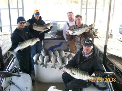 Nice Striped Bass