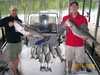 (06/16/2008) - Nice Striped Bass