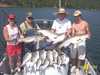 (06/14/2004) - Limit of Striped Bass