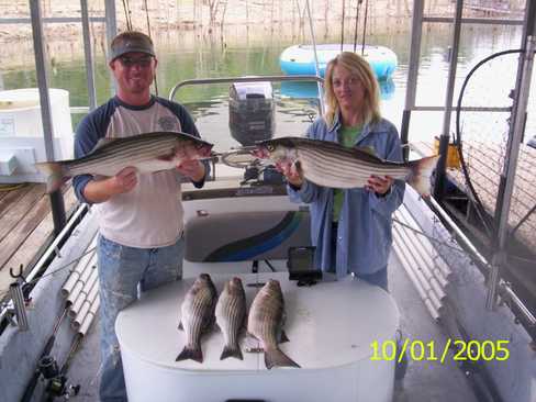 Nice Striped Bass