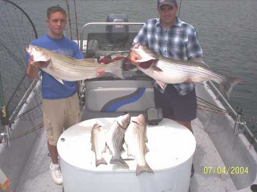 Nice Striped Bass