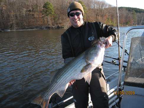 Nice Striped Bass