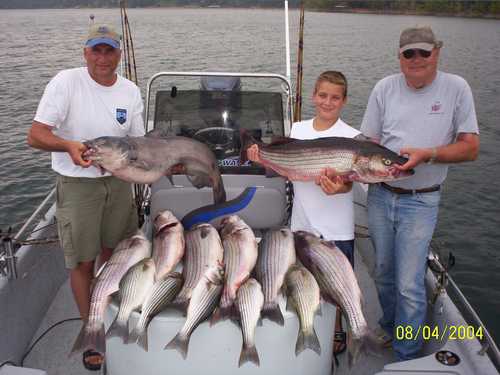 Nice Striped Bass