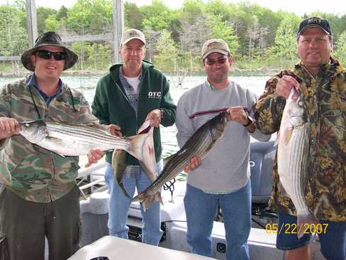 Nice Striped Bass