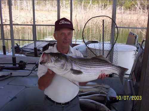 Nice Striped Bass