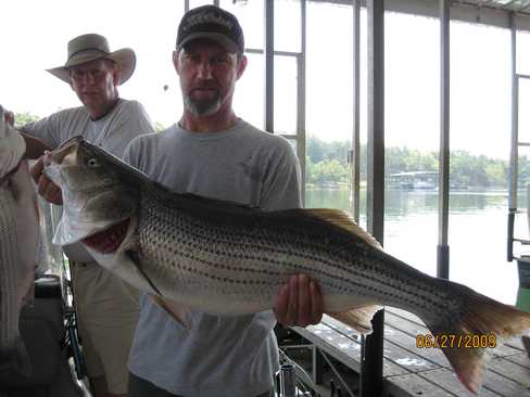 Now that is a Hog Striper