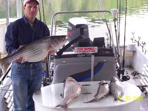 Nice Striped Bass