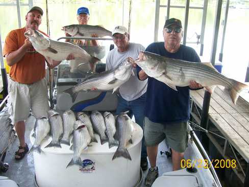 Nice Striped Bass