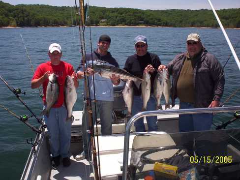 Nice Striped Bass