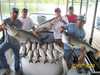 (07/07/2008) - Nice Striped Bass