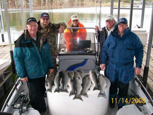 Nice Striped Bass