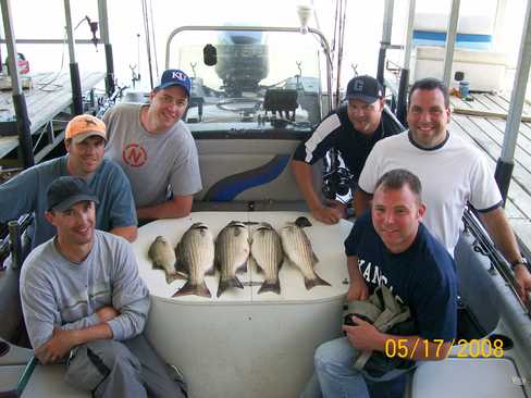Nice Striped Bass