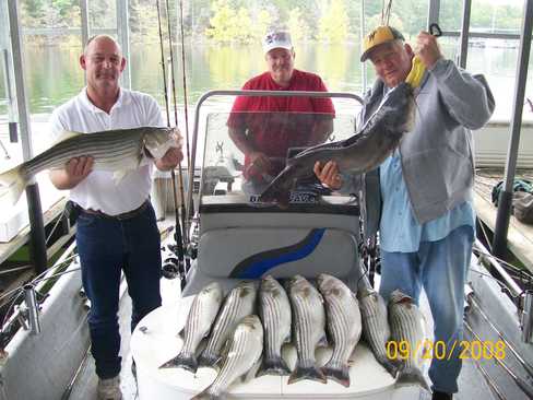 Nice Striped Bass