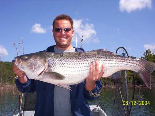 Nice Striped Bass