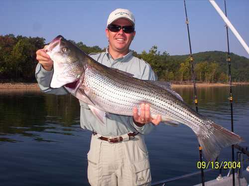 Nice Striped Bass