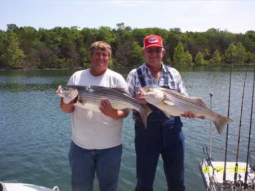 Nice Striped Bass