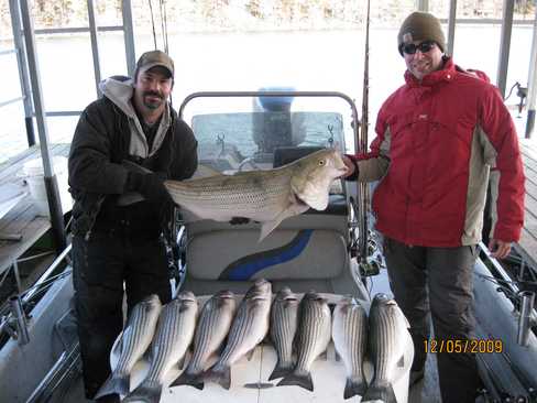 Nice Striped Bass
