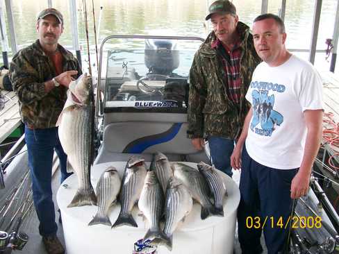 Nice Striped Bass