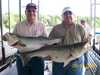 (06/14/2008) - Nice Striped Bass