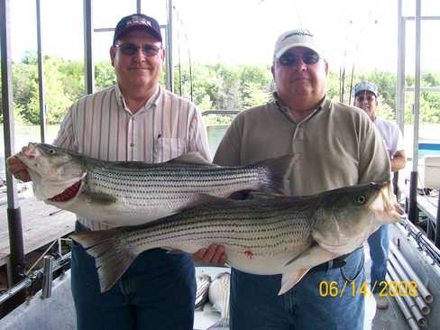 Nice Striped Bass