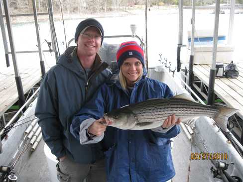 Nice Striped Bass