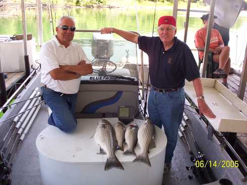 Nice Striped Bass