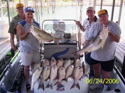 Nice Striped Bass