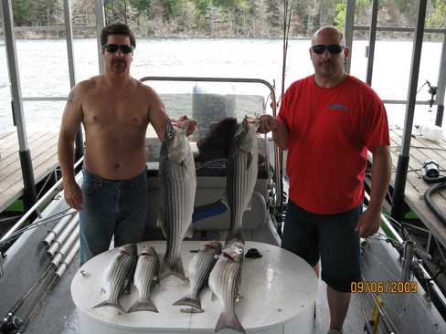 Nice Striped Bass