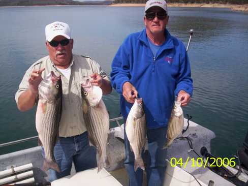 Nice Striped Bass