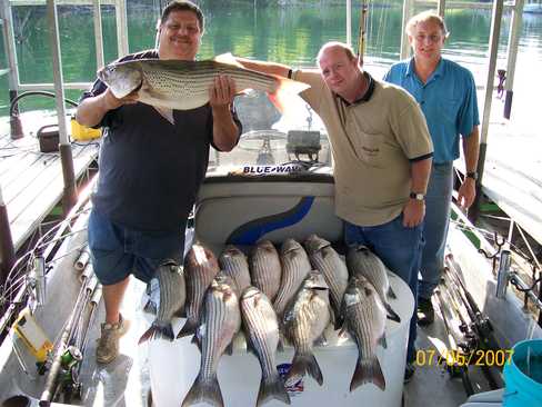 Nice Striped Bass