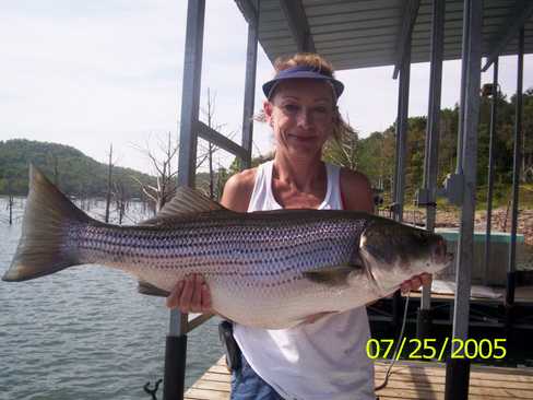 Nice Striped Bass