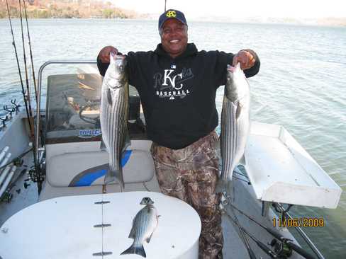 Nice Striped Bass