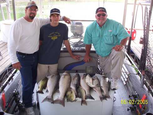 Nice Striped Bass