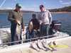 (04/07/2006) - Nice Striped Bass