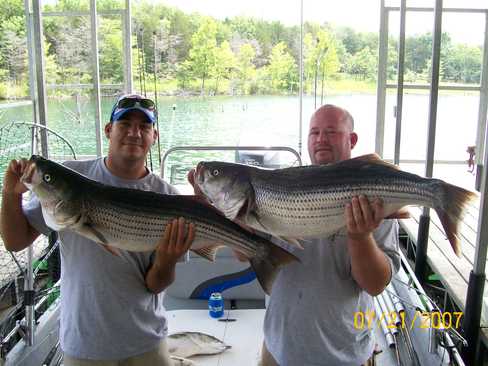 Nice Striped Bass