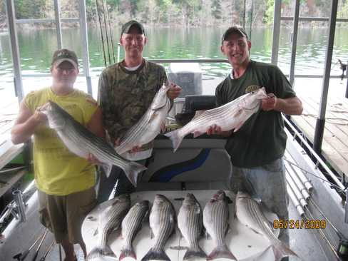 Nice Striped Bass