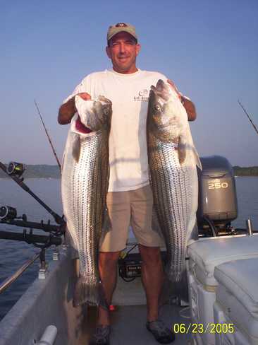 Nice Striped Bass