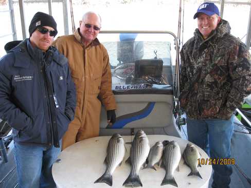 Nice Striped Bass