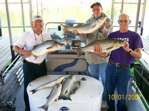 Nice Striped Bass